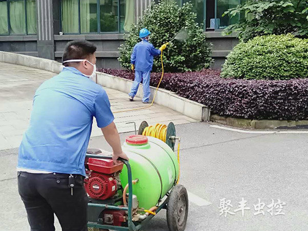 卫建委灭蚊蝇消杀
