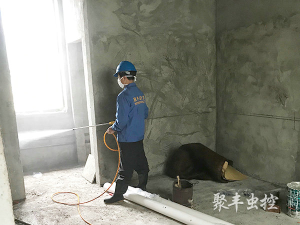 新房白蚁防治